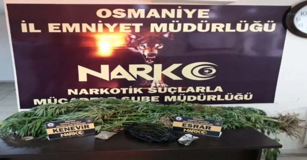 Osmaniyede Uyuşturucu Operasyonu