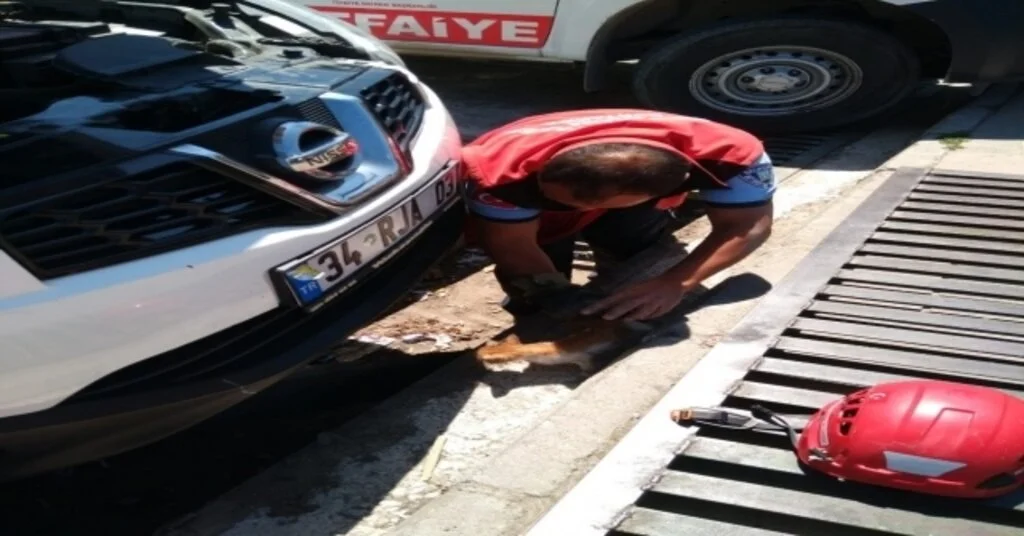 Otomobilin Motor Bölümüne Giren Kedi Yavrusunu İtfaiye Kurtardı