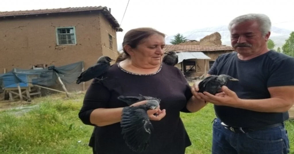 (Özel Haber) Sahiplendiği Kargalara Çocuklarının Adını Verdi
