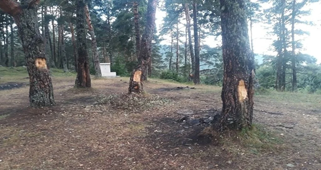 Pikniğe giden vatandaşlar gördükleri manzara ile şok oldu
