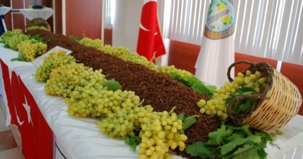 Salihlide En Güzel Üzümler Yarışacak