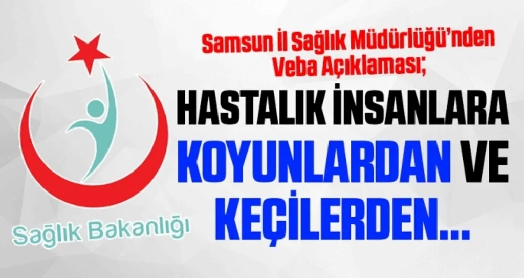 Samsun İl Sağlık Müdürlüğü'nden Veba Açıklaması