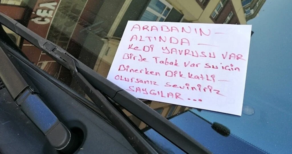 Samsun'da Arabanın altındaki yavru kedi için duygulandıran hareket