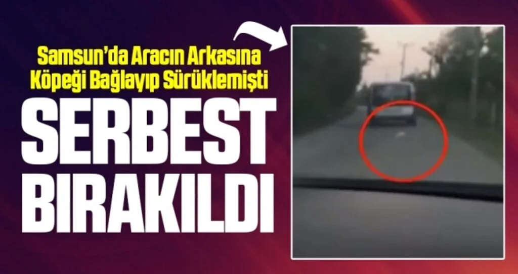 Samsun'da Aracın Arkasına Köpeği Bağlayıp Sürüklemişti! Serbest Bırakıldı