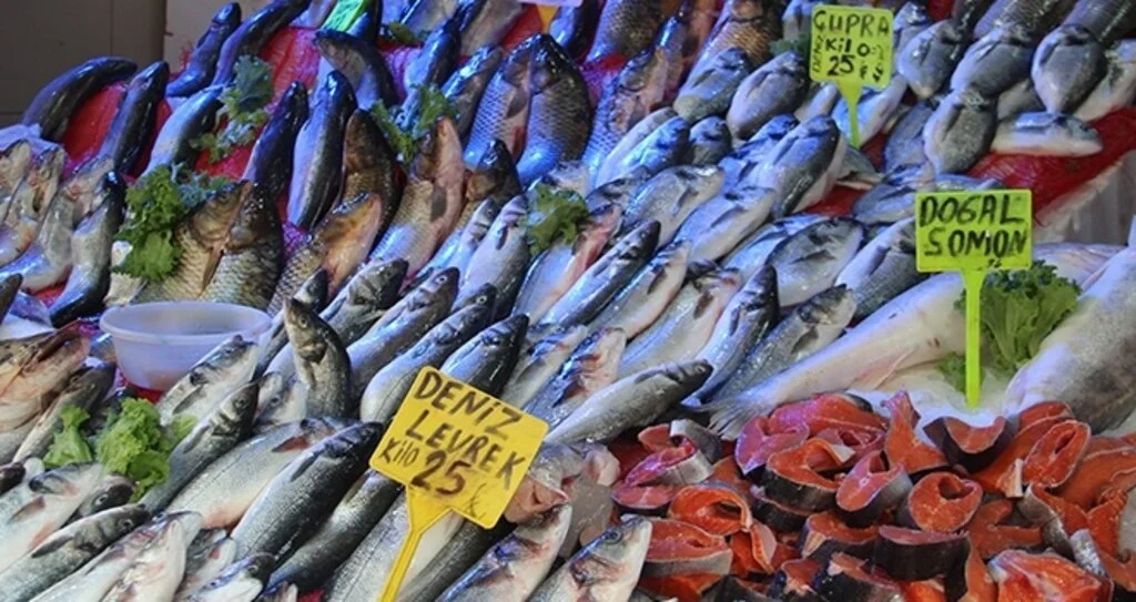 Samsun'da Balıkçılar yeni sezondan umutlu
