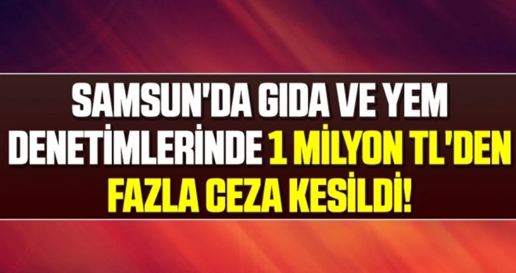 Samsun'da Gıda ve yem denetimlerinde 1 milyon TL'den fazla ceza kesildi