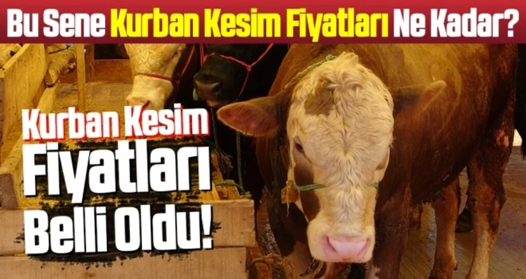 Samsun'da Kurban kesim fiyatları Ne Kadar belli oldu!