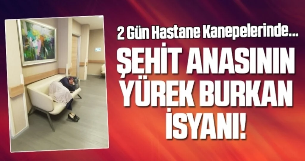 Şehit Anasının Yürek Burkan İsyanı!
