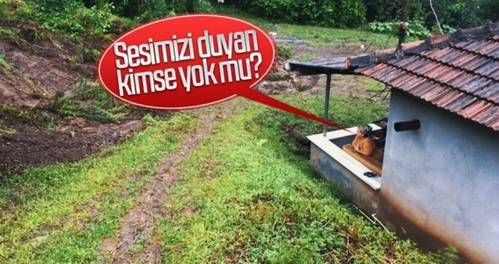 SESİMİZİ DUYAN  KİMSE YOK MU?