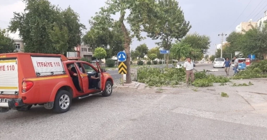 Şiddetli Rüzgar Ağaçları Devirip Geçti