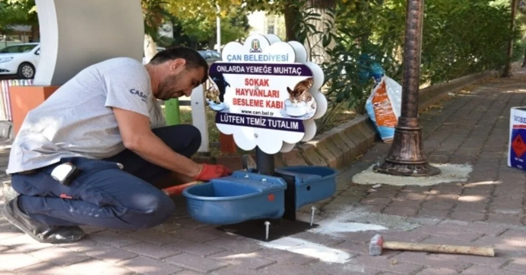 Sokak Hayvanlarına Beslenme Kabı