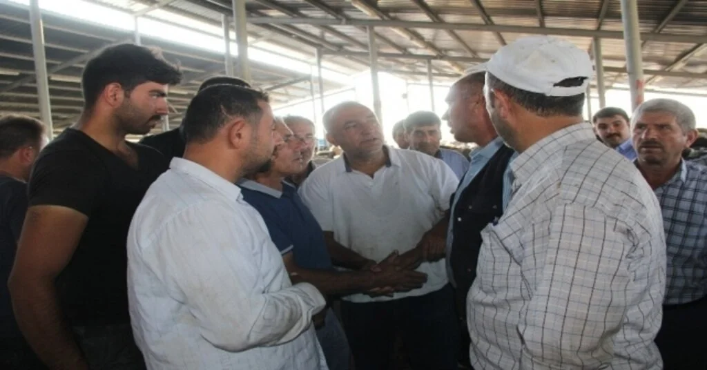 Şuhut Hayvan Borsasında Kurban Pazarı Hareketliliği