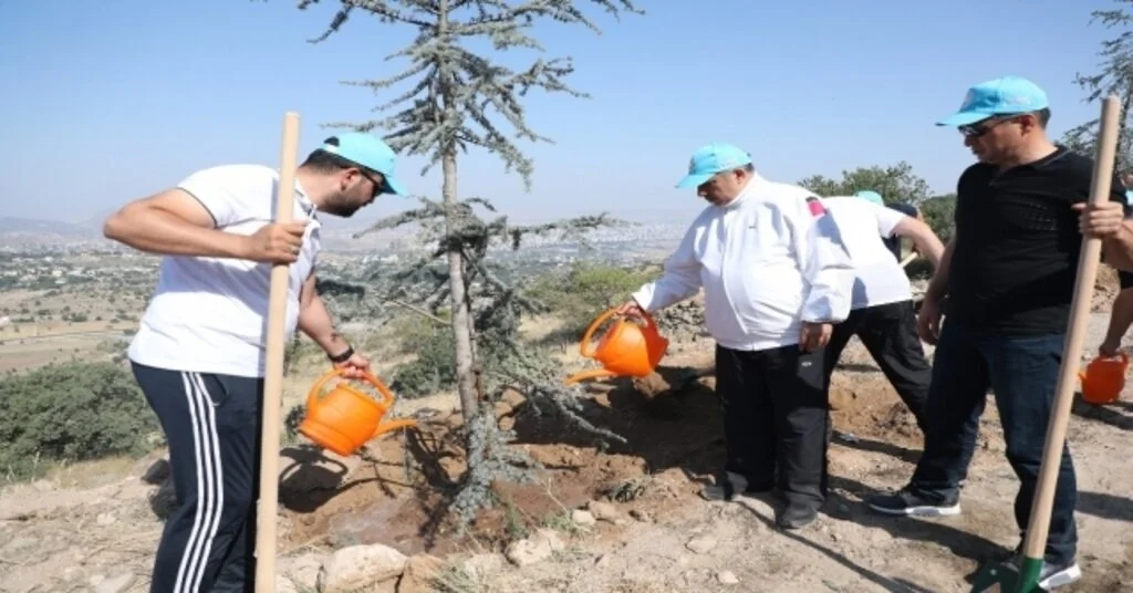 Talas Belediye Meclis Üyeleri Ali Dağında Fidan Dikti