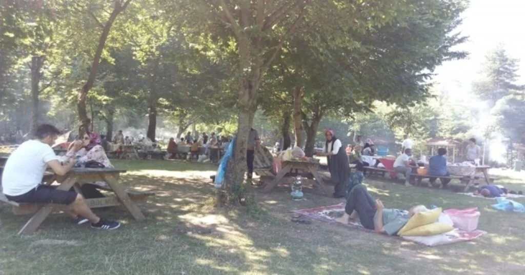 Tatilciler Düzcenin Mesire Alanlarına Akın Etti