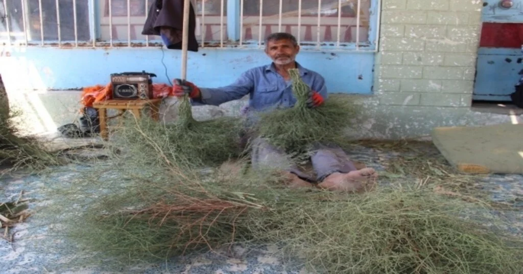 Teknoloji Mehmet Ali Ustanın Süpürgelerinden Üretmedi, Belediyeler Sıraya Girdi