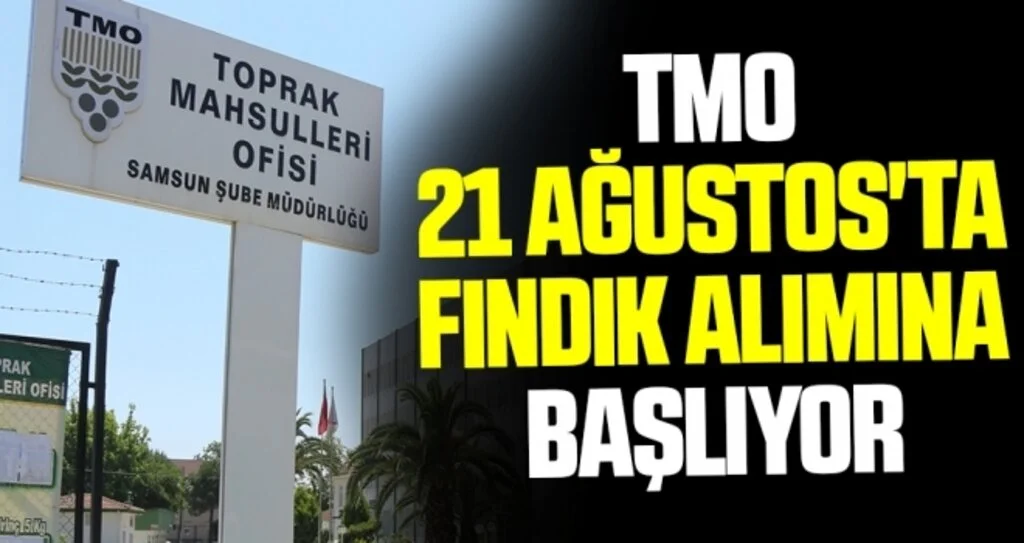 TMO, 21 Ağustos'ta fındık alımına başlıyor!