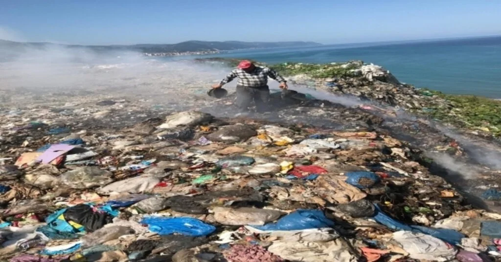 Türkelinin Helaldısını ‘Çöp Aldı Götürüyor