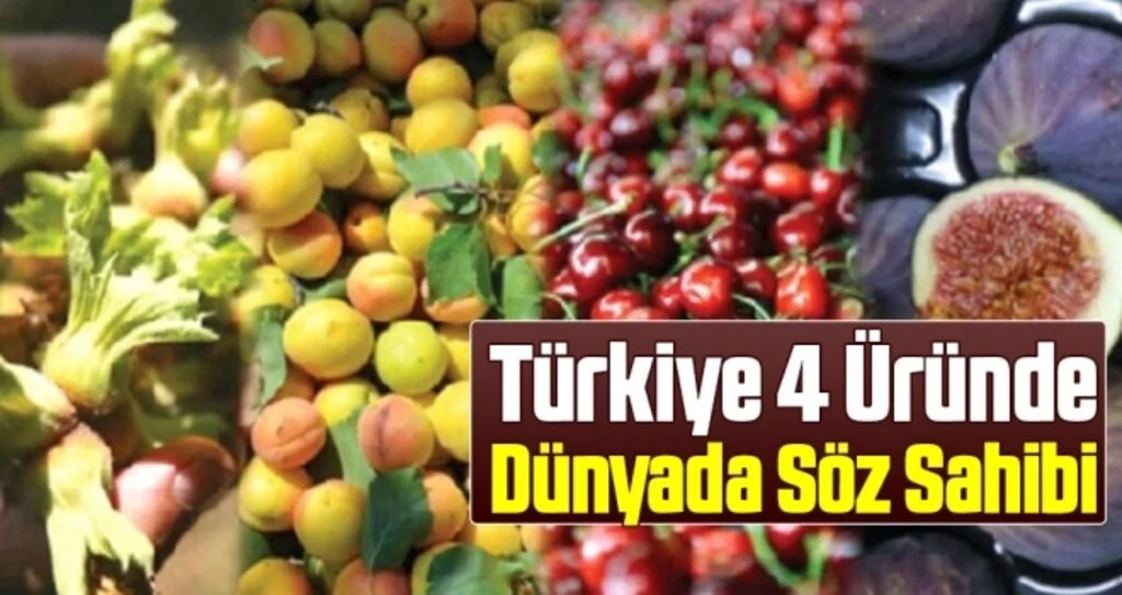 Türkiye 4 Üründe Dünyada Söz Sahibi