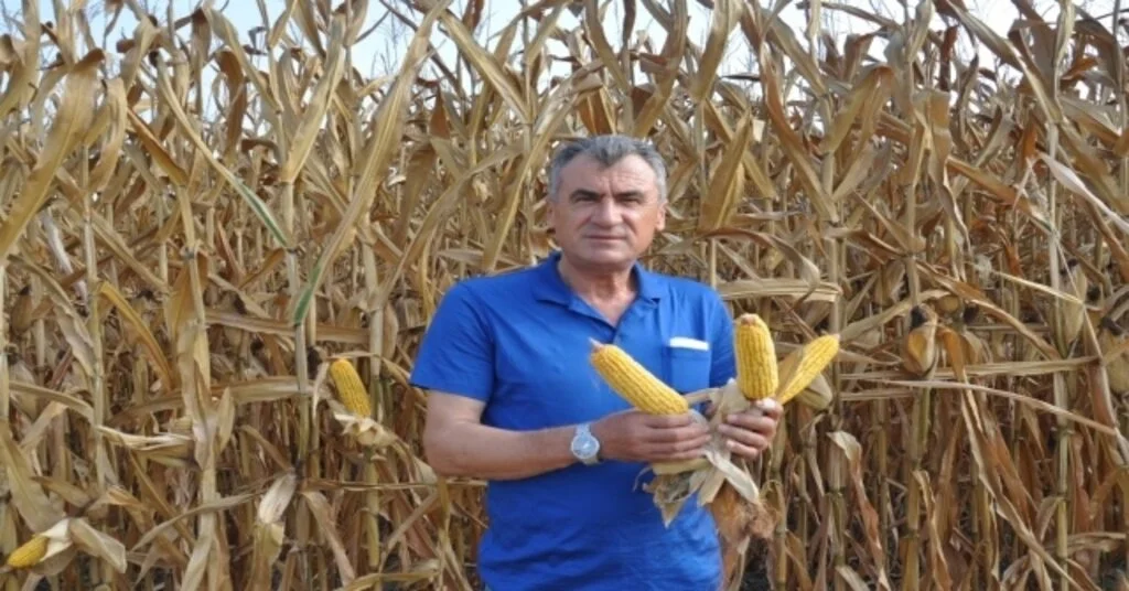 Üretici Mısır Fiyatlarının Arttırılmasını İstiyor