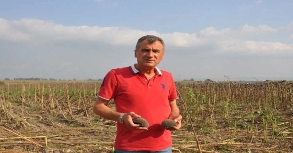 Üretici Tmonun Ayçiçeği De Almasını İstiyor