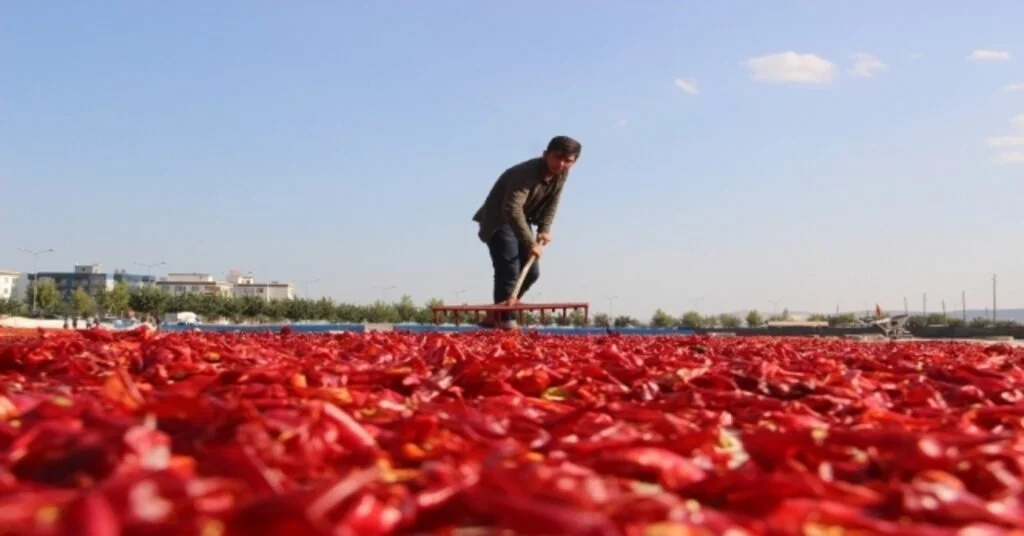 Urfalıların Acı İle İmtihanı Başladı