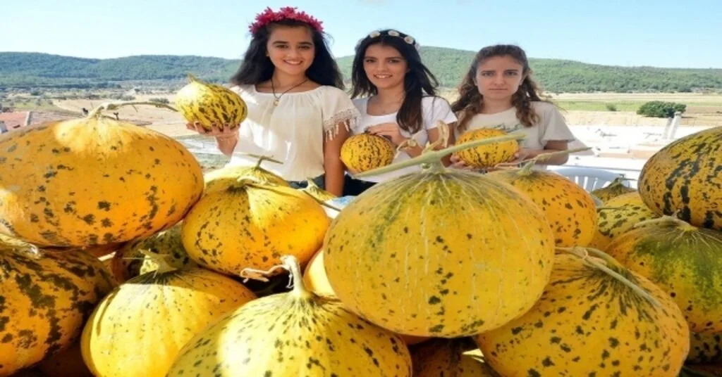 Urlada Merakla Beklenen Kavun Festivali Başlıyor