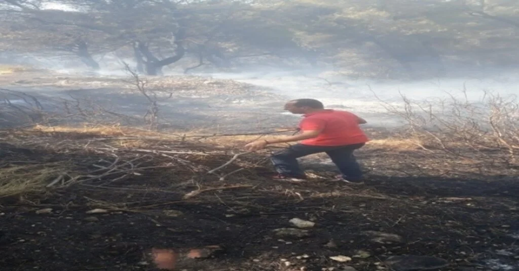 Urladaki Yangına Belediye Başkanı Da Müdahale Etti