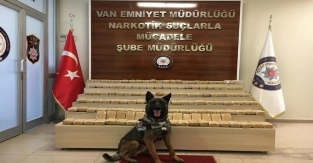Uyuşturucu Tacirleri Bozoya Takıldı