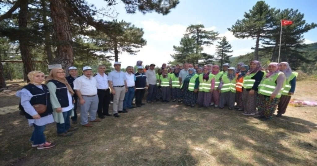 Vali, Emette Ormancılık Faaliyetlerini Ve Yangın Müdahale Tedbirlerini İnceledi