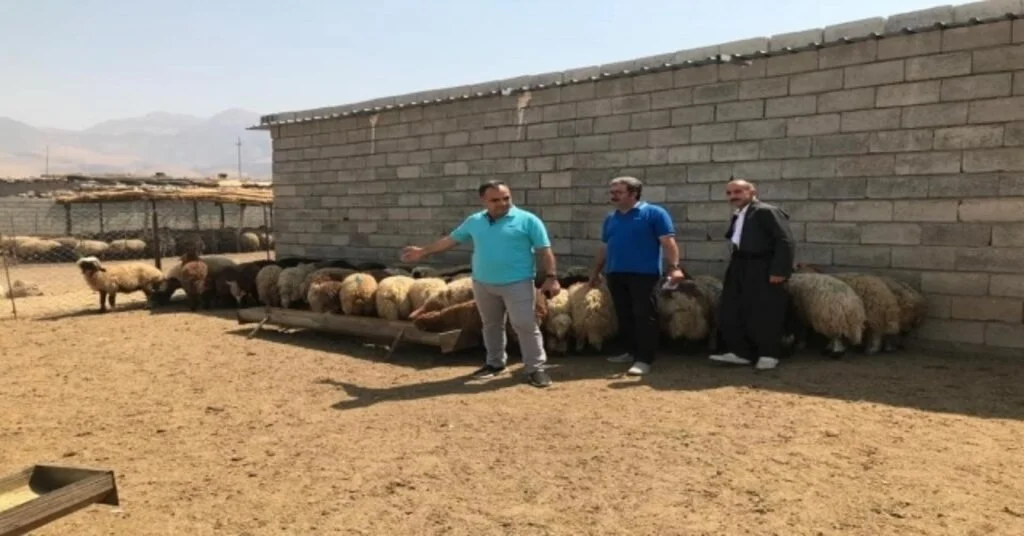 Yardımeli Derneği Dünyaya Bayram Sevinci Yaşattı