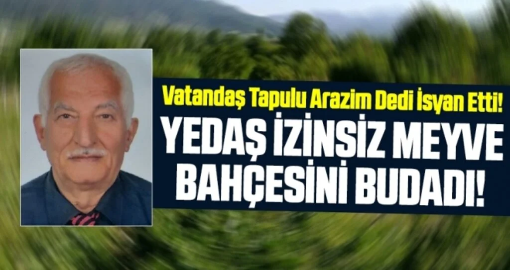 YEDAŞ izinsiz meyve bahçesini budadı!