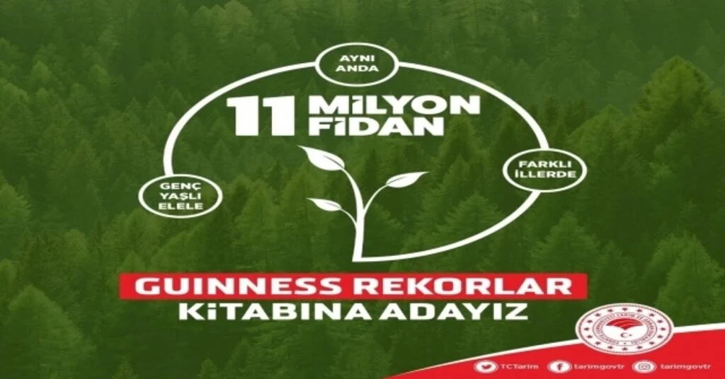 Yök Başkanı Saraçtan Guinnessa Aday Fidan Dikme Etkinliğine Destek