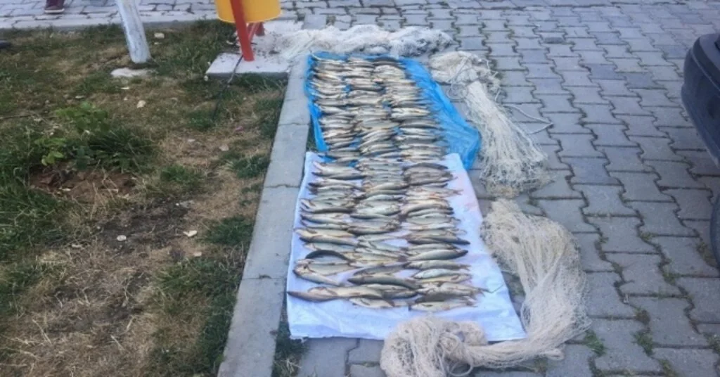 Yol Kontrolünde Yakalanan Kaçak Balıkçılara Para Cezası
