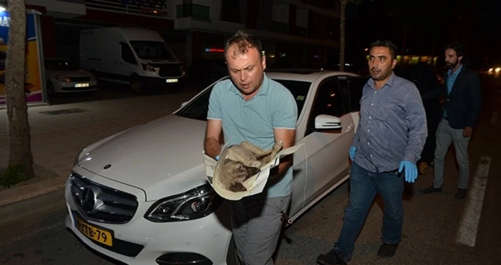 Yolda bulduğu yaralı köpeği kurtarmak için 80 kilometre katetti