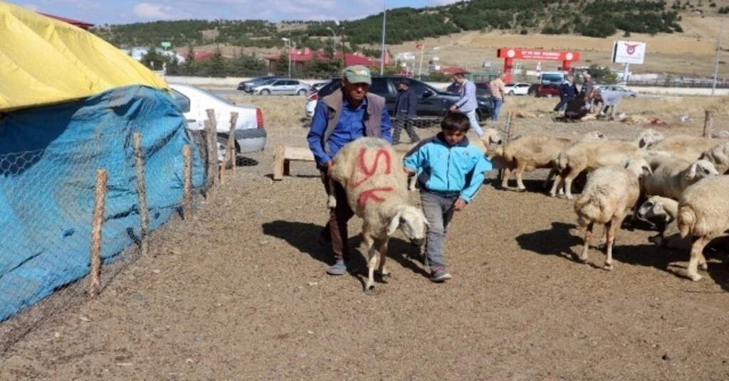 Yozgatta Kurban Satışları Birinci Gün De Devam Etti