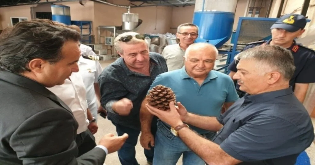 Zeytin Şehri Fıstıkçılıkta Da İddialı