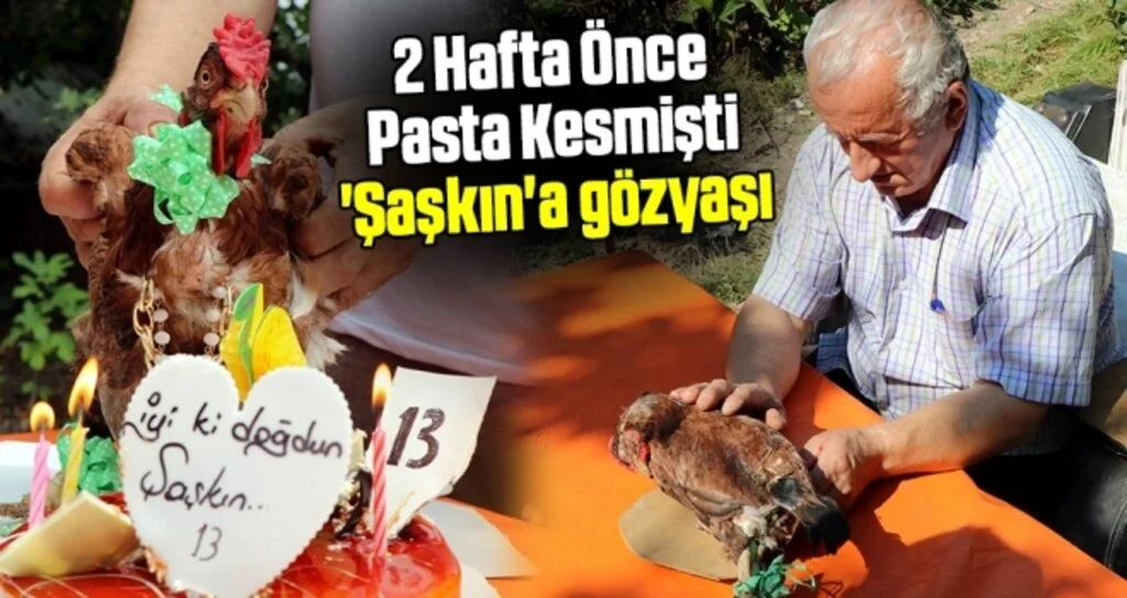 2 Hafta Önce Pasta Kesmişti 'Şaşkın'a gözyaşı