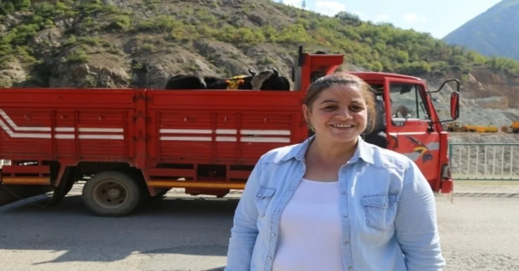 Artvinin Şampiyon Boğaları Muğladaki Şampiyona İçin Yola Çıktı
