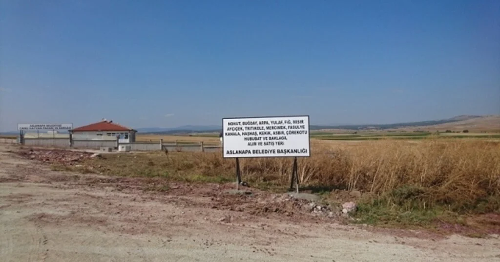 Aslanapada Hububat Alım Merkezi Oluşturuldu