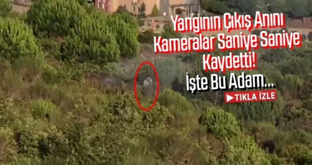 Aydos Ormanı'nda yangının çıkış anı kamerada