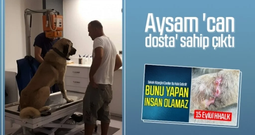 Aysam 'can dosta' sahip çıktı