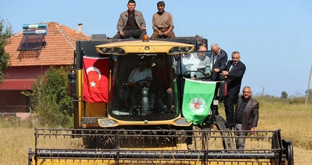 Bafra'da 4. Çeltik Hasadı Etkinliği
