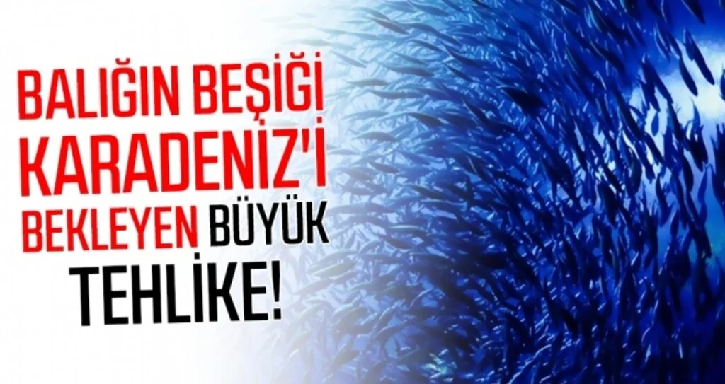 Balığın beşiği Karadeniz'i bekleyen büyük tehlike!
