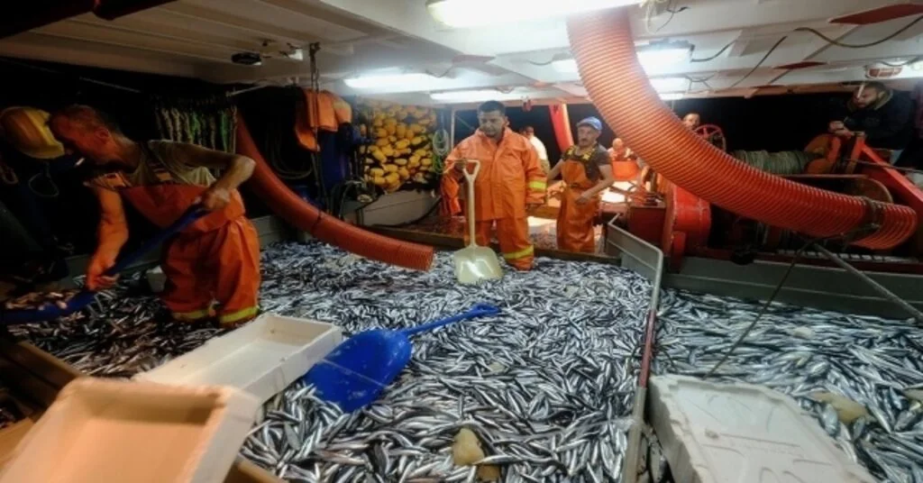 Balık Avı Sezonu Açıldı, Başkan Günel Balıkçılarla Birlikte “ Rastgele “ Dedi