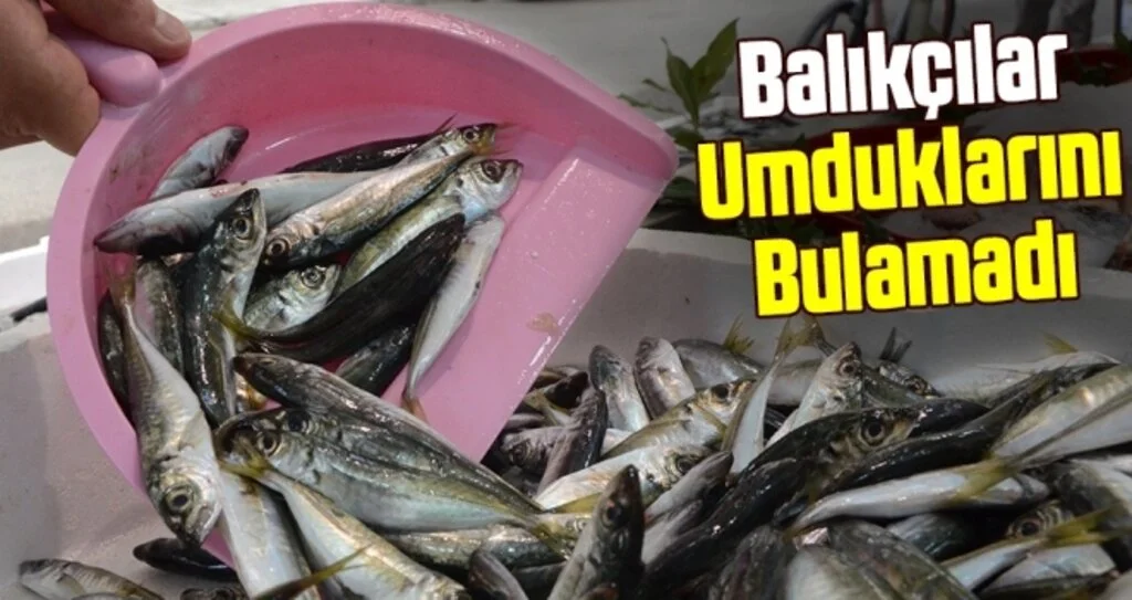 Balıkçılar umduklarını bulamadı