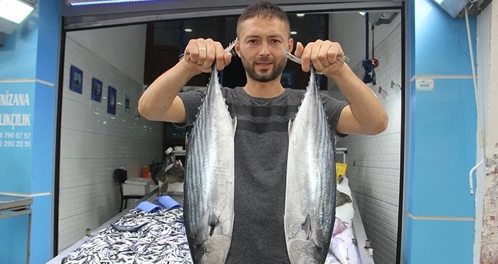 Balıkçılara torik sürprizi