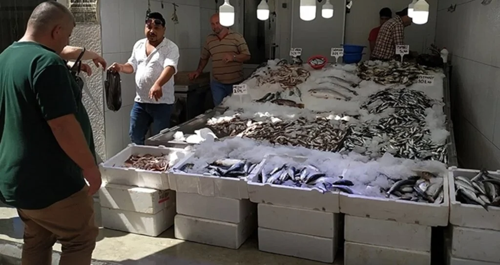 Balıkçıların 'palamut' hasreti devam ediyor