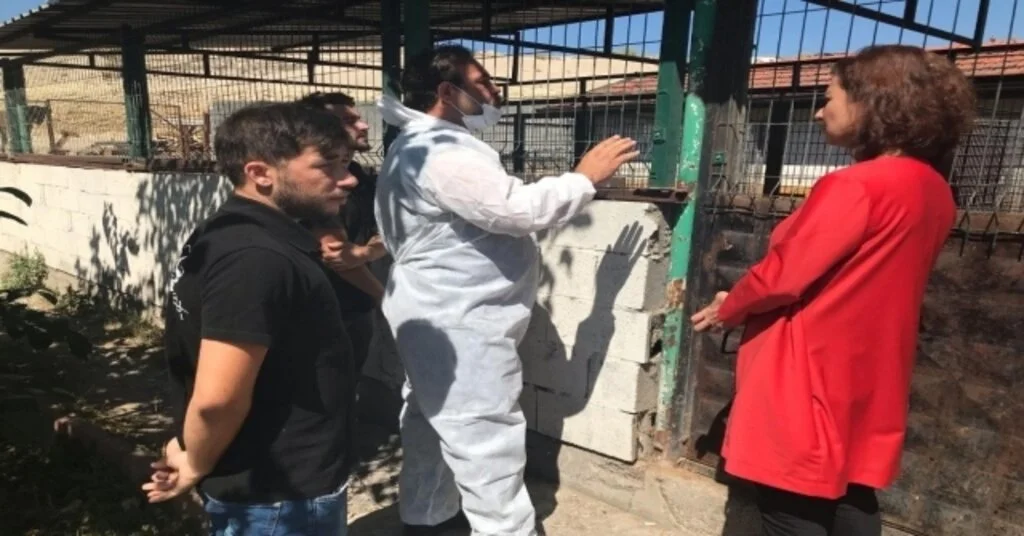 Başkan Köseden Hayvan Barınağında İnceleme