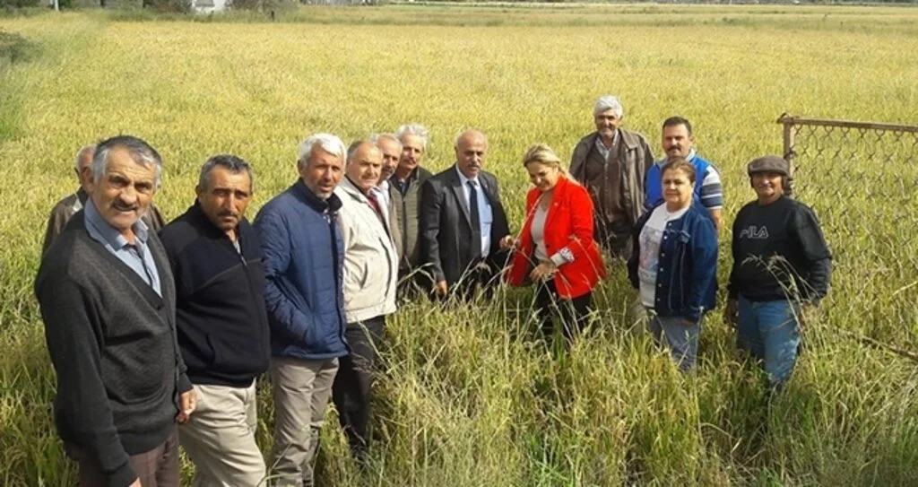 'Bu fiyatlarla çeltik üreticisi kazanamaz'