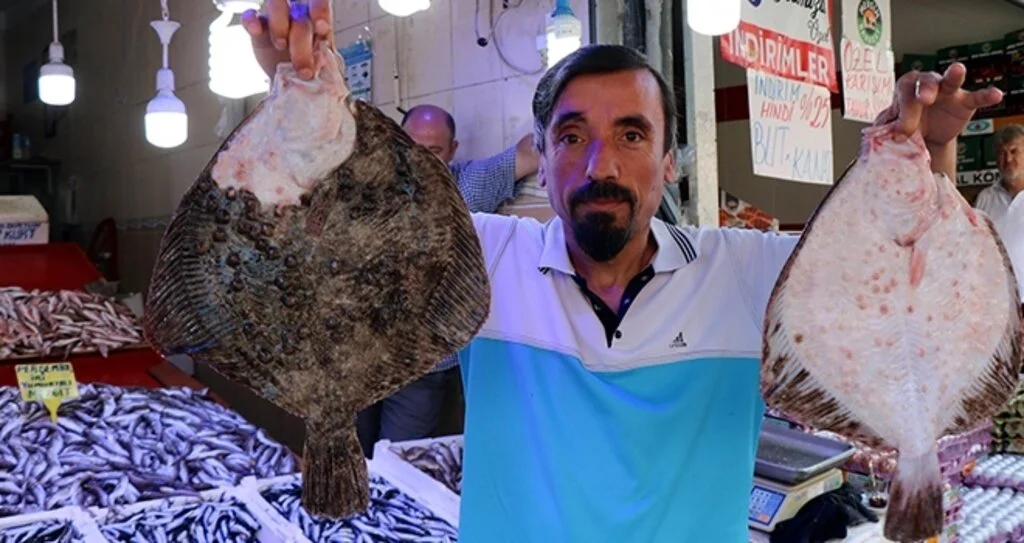 Bu sene hamsi palamudu yedi